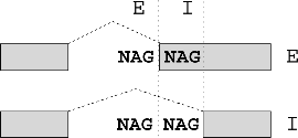 explanation of E/I
