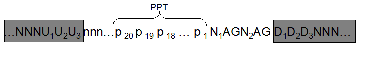 parameters used in Bayesian network